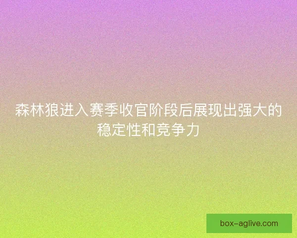 森林狼进入赛季收官阶段后展现出强大的稳定性和竞争力